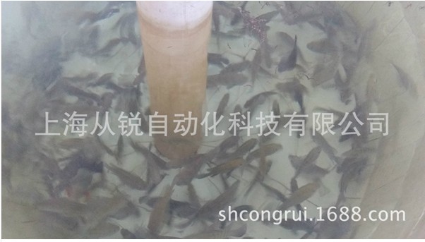 水产养殖